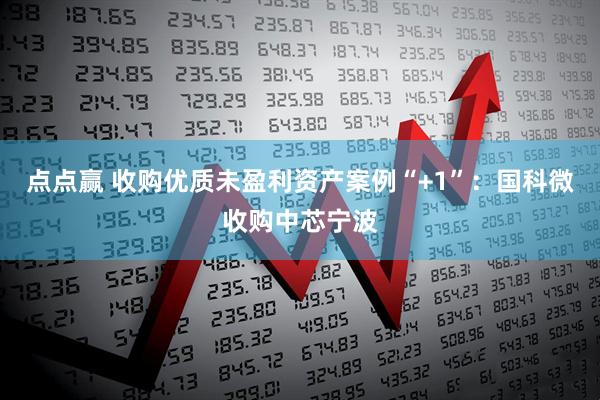 点点赢 收购优质未盈利资产案例“+1”：国科微收购中芯宁波