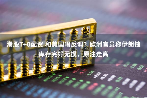 港股T+0配资 和美国唱反调？欧洲官员称伊朗铀库存完好无损，原油走高