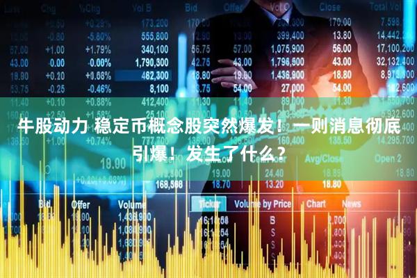 牛股动力 稳定币概念股突然爆发！一则消息彻底引爆！发生了什么？