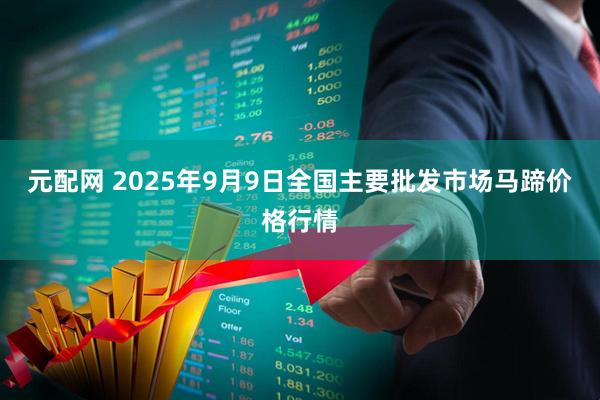 元配网 2025年9月9日全国主要批发市场马蹄价格行情