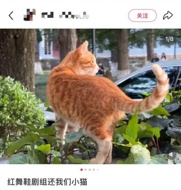 好牛 致歉声明突然消失！《红舞鞋》剧组再引争议